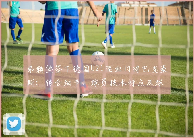 弗赖堡签下德国U21混血门将巴克豪斯：转会细节、球员技术特点及球队前景分析
