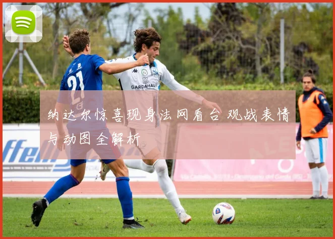 纳达尔惊喜现身法网看台 观战表情与动图全解析
