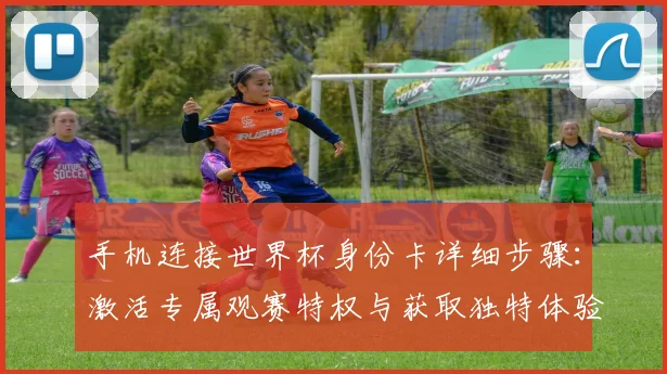 手机连接世界杯身份卡详细步骤：激活专属观赛特权与获取独特体验指南