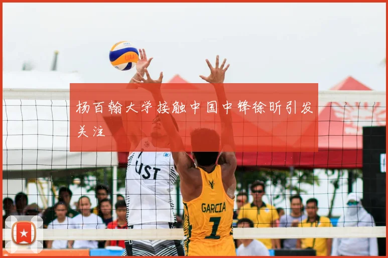 杨百翰大学接触中国中锋徐昕引发关注